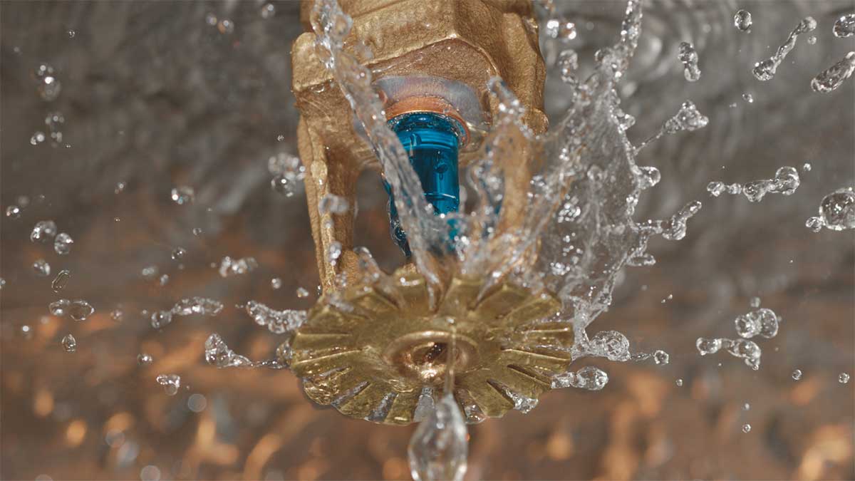 Close-up of an active fire sprinkler head releasing water during fire sprinkler maintenance. 