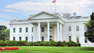 The White House on a clear day with greenery in front.