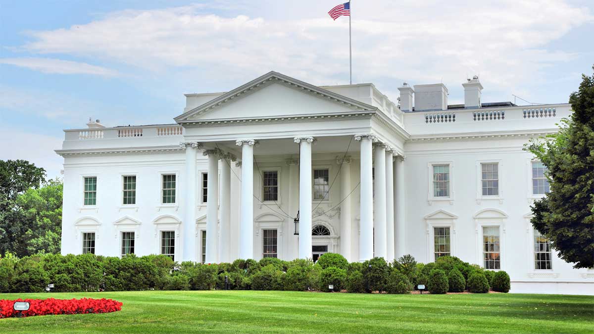 The White House on a clear day with greenery in front.